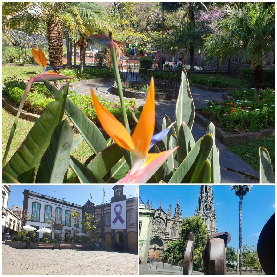 Casa Isabel Centro Historico Villa Arucas Kültér fotó